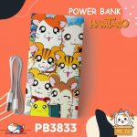 Powerbank