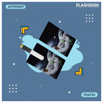 flash-disk-astronot-bli.my.id